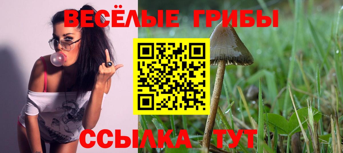 Псилоцибиновые грибы прущие грибы Можга
